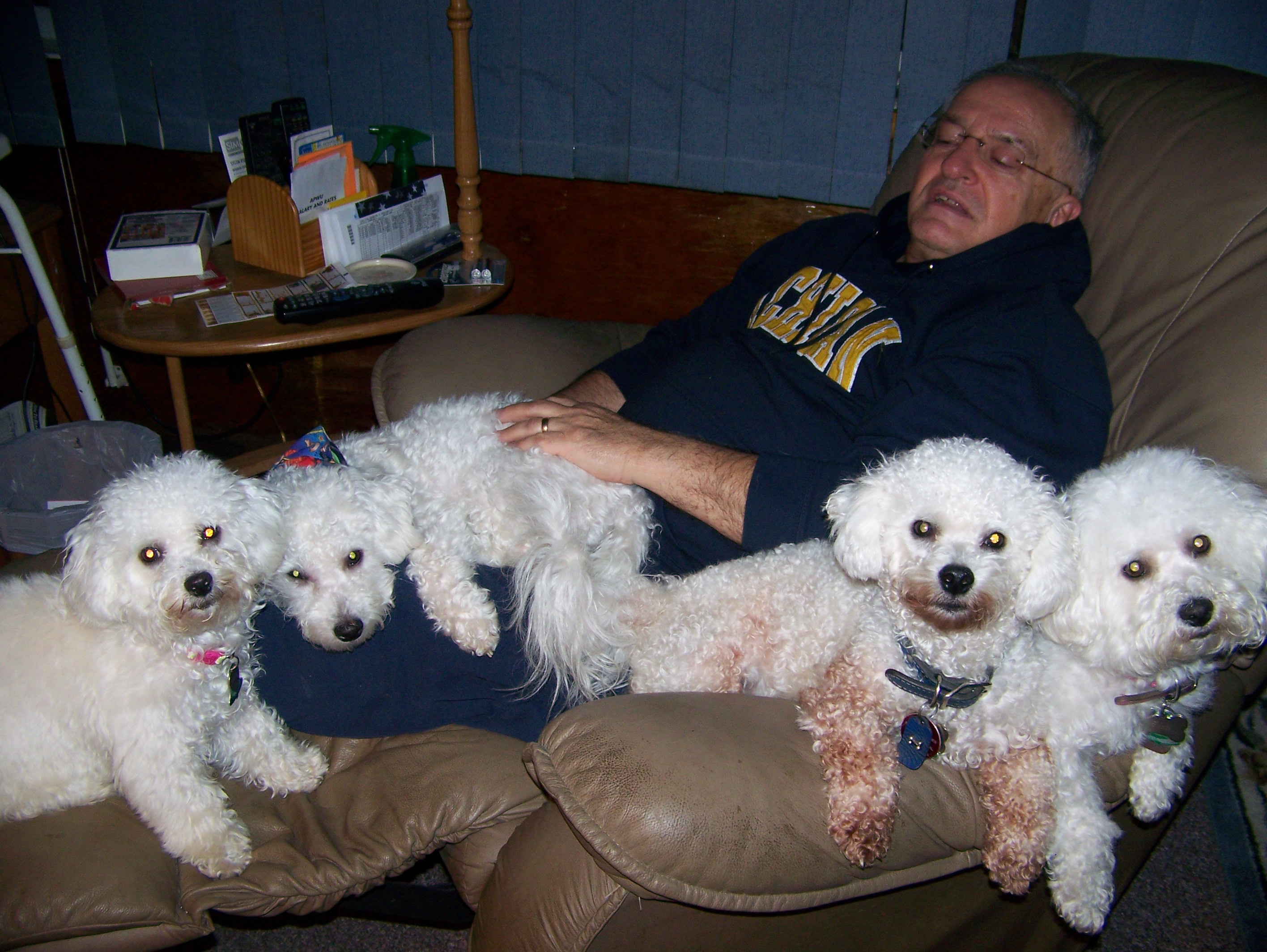 Ron & a bunch of dogs
